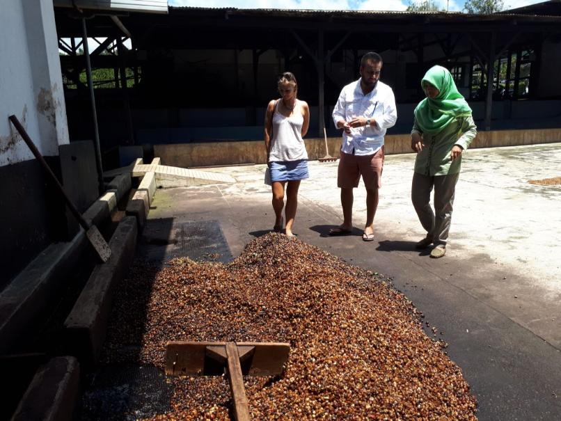 Cultuur in Yogyakarta 
