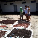 Private Tourist Transportation : Exploring Yogyakarta and Java