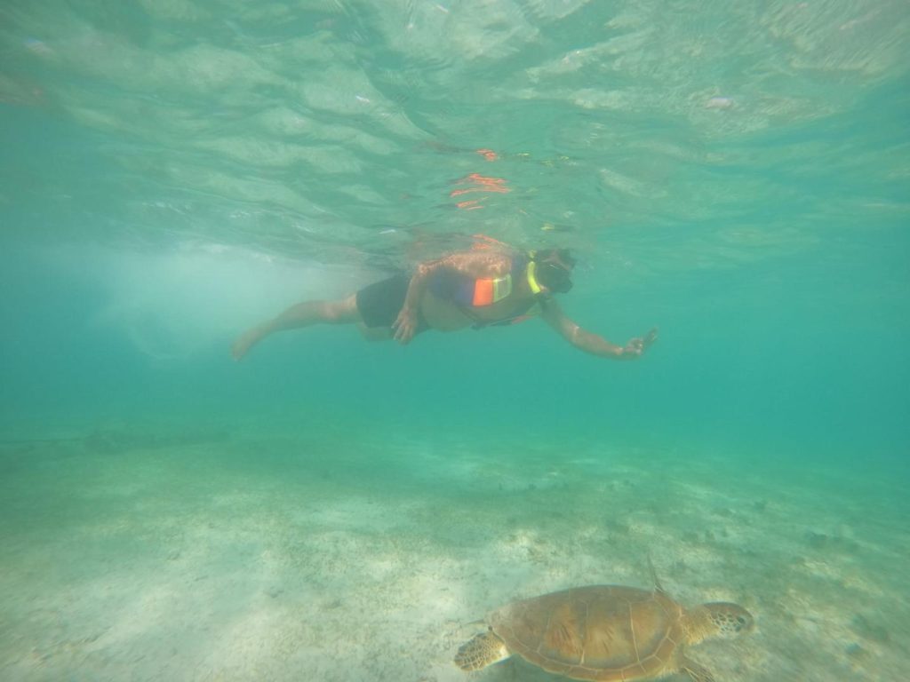 java majestic landscapes