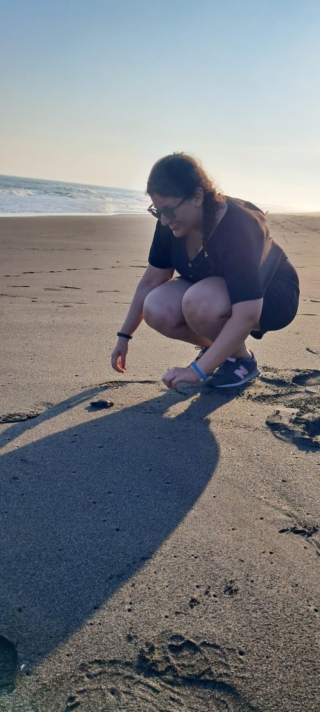 Goa Cemara beach