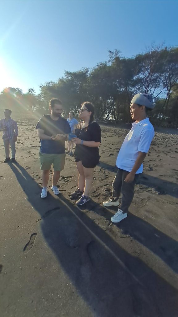 sea turtle city tour
