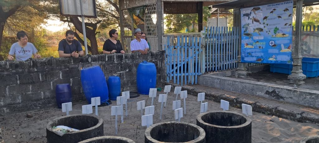 Yogyakarta and Sea Turtle Tour