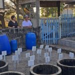 Yogyakarta and Sea Turtle Tour