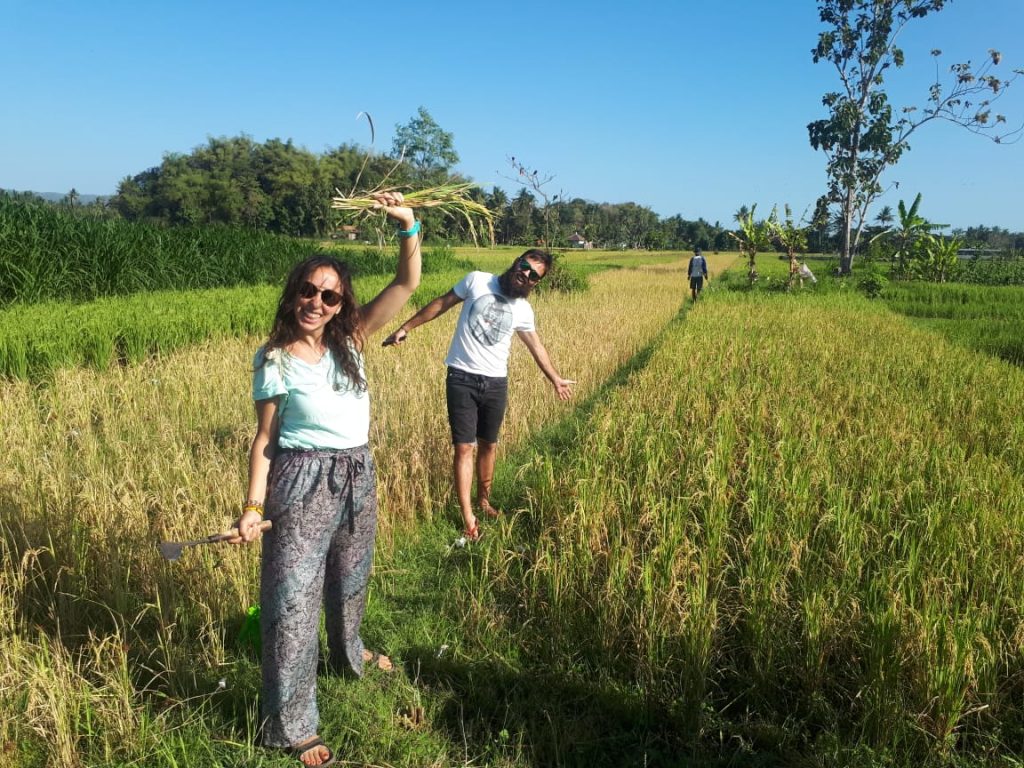 Best Yogyakarta Tour Package 2