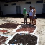 Java Itinerary, Tailor-made tours