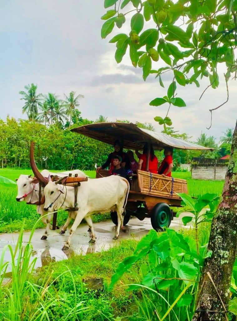 authentic yogyakarta