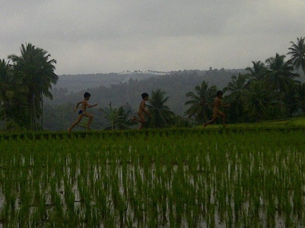 Private tour company in yogyakarta