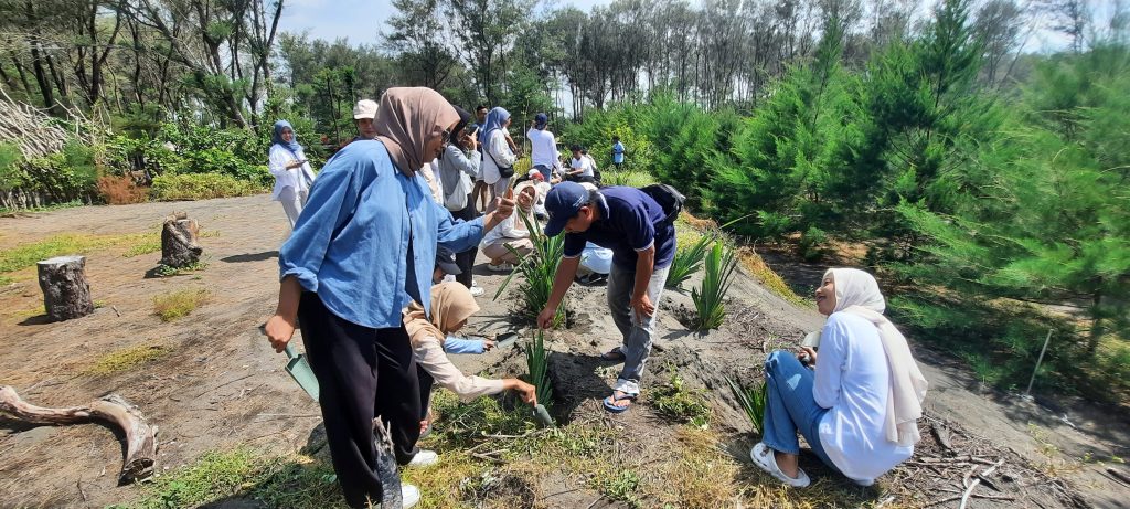 sea pandanus conservation