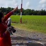 pigeon racing in bantul Yogyakarta