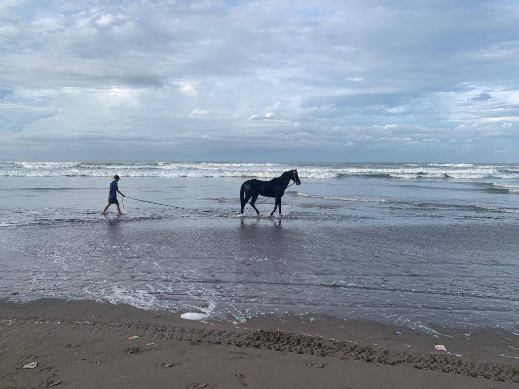 Yogyakarta Travel Guide : everything you need to know