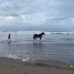 Yogyakarta Travel Guide : everything you need to know