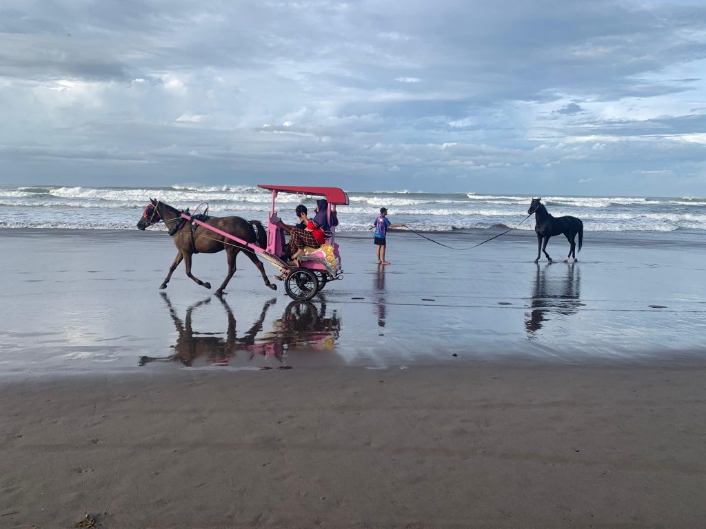 Enjoy Yogyakarta with private transport and tours