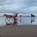 Enjoy Yogyakarta with private transport and tours