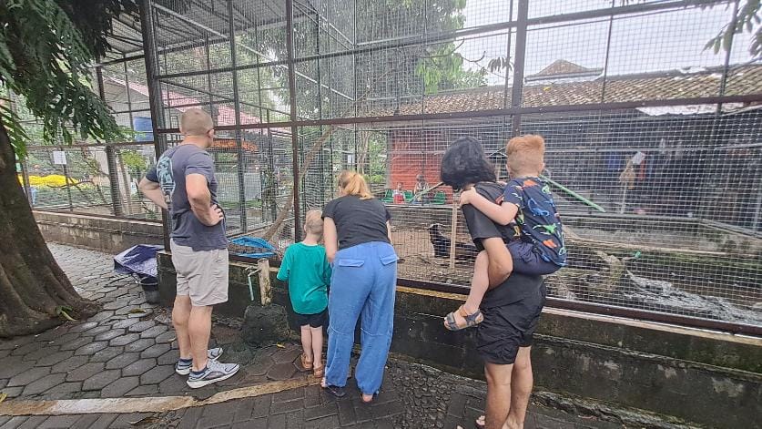 Private Driver in Yogyakarta