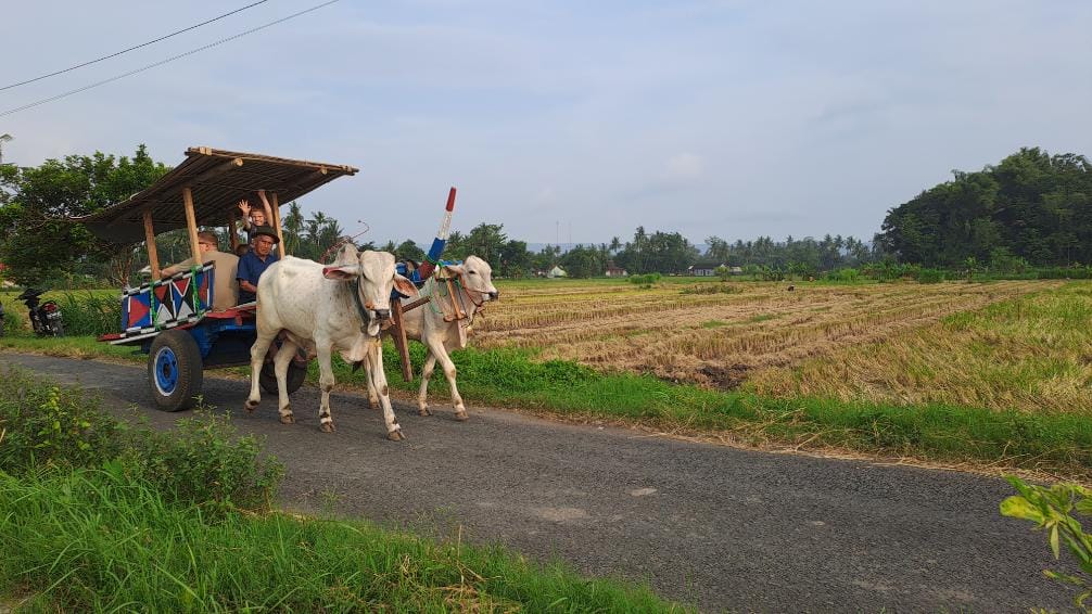 ox cart tour in yogyakarta