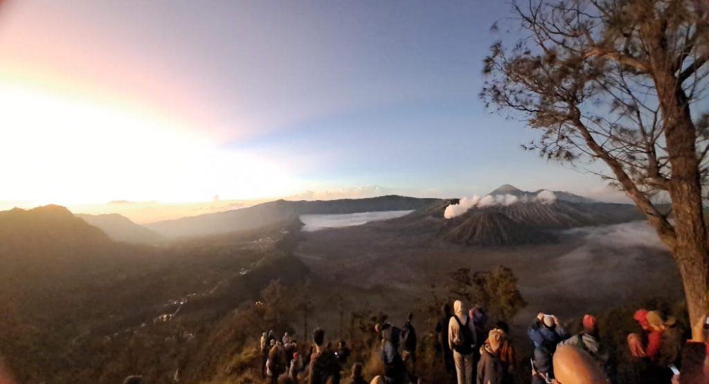 Bromo private driver