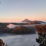 Private vehicle services in Yogyakarta