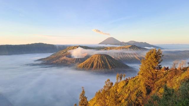 Yogyakarta tour driver